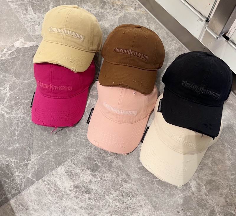 26 Alexander Wang Cap