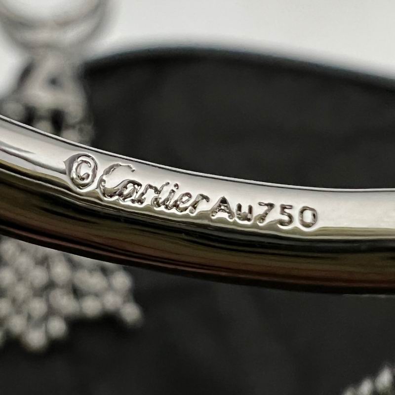 Cartier earring 12lyx21 (12)