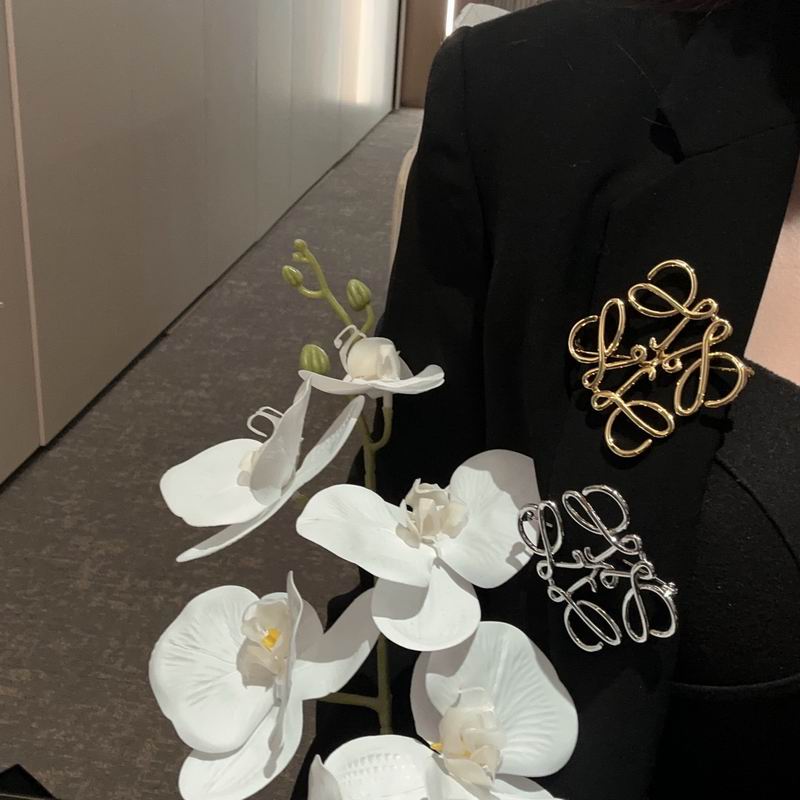 Loewe brooch 11lyw8 (3)